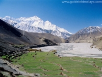 Kali Gandaki Valley