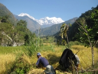 Ganesh Himal and Tamang Heritage Trail Trekking